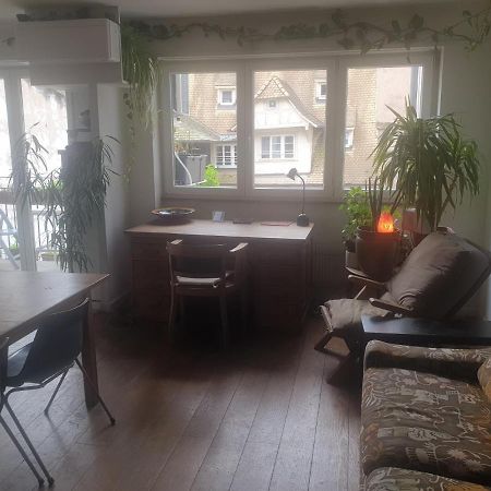 Apartamento La Puisatiere 80 M2 Estrasburgo Exterior foto