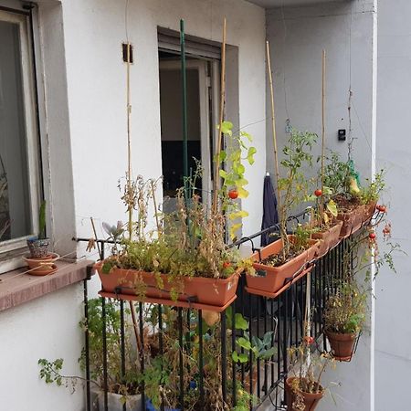 Apartamento La Puisatiere 80 M2 Estrasburgo Exterior foto