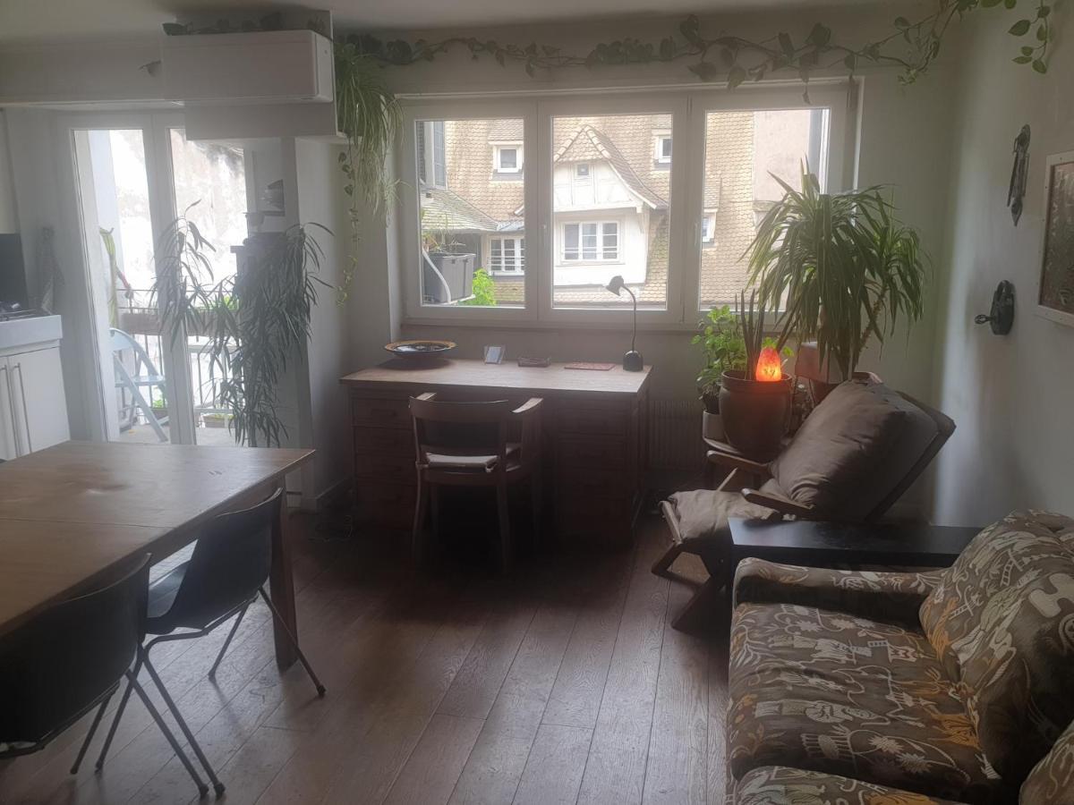 Apartamento La Puisatiere 80 M2 Estrasburgo Exterior foto