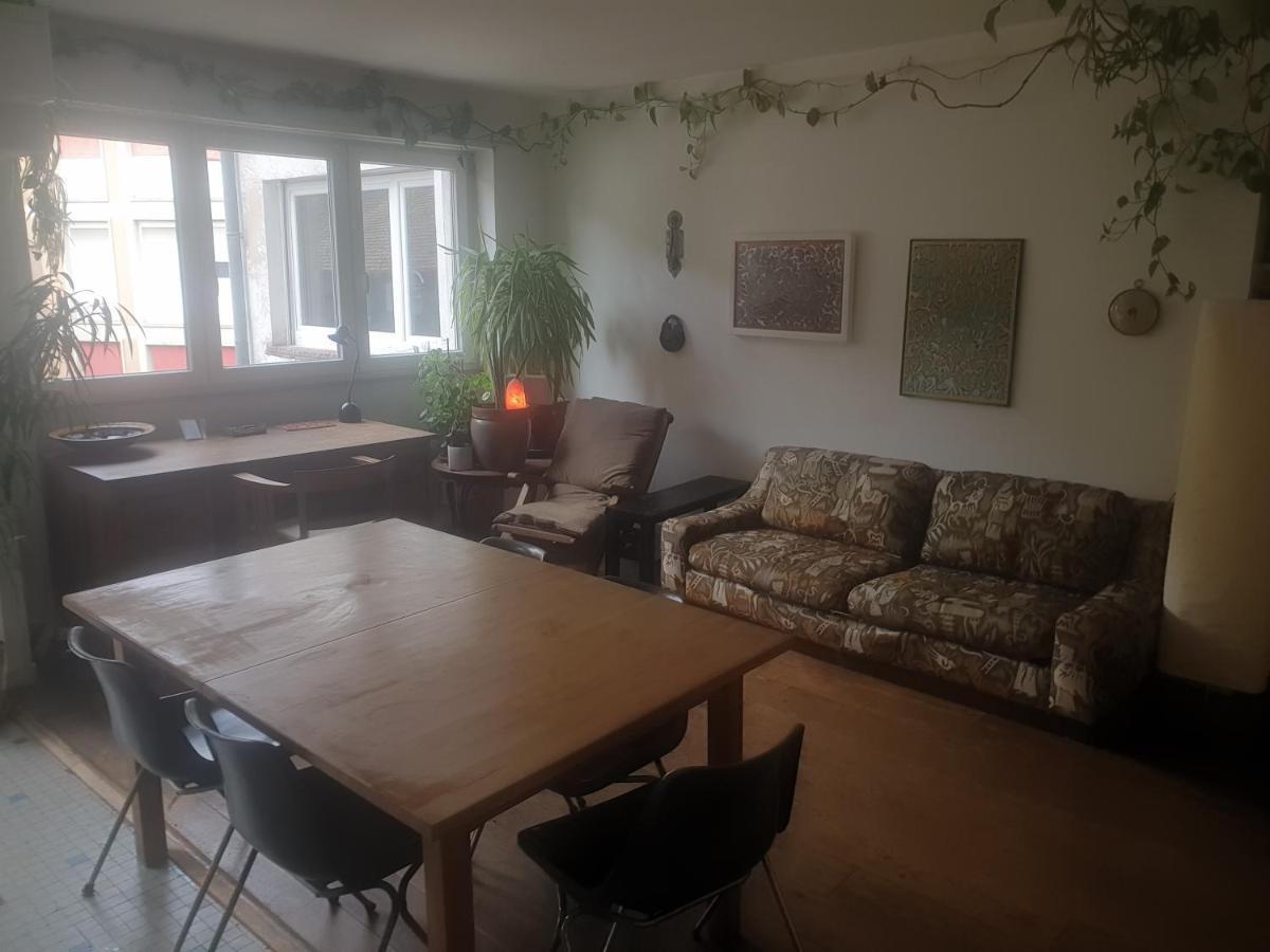 Apartamento La Puisatiere 80 M2 Estrasburgo Exterior foto