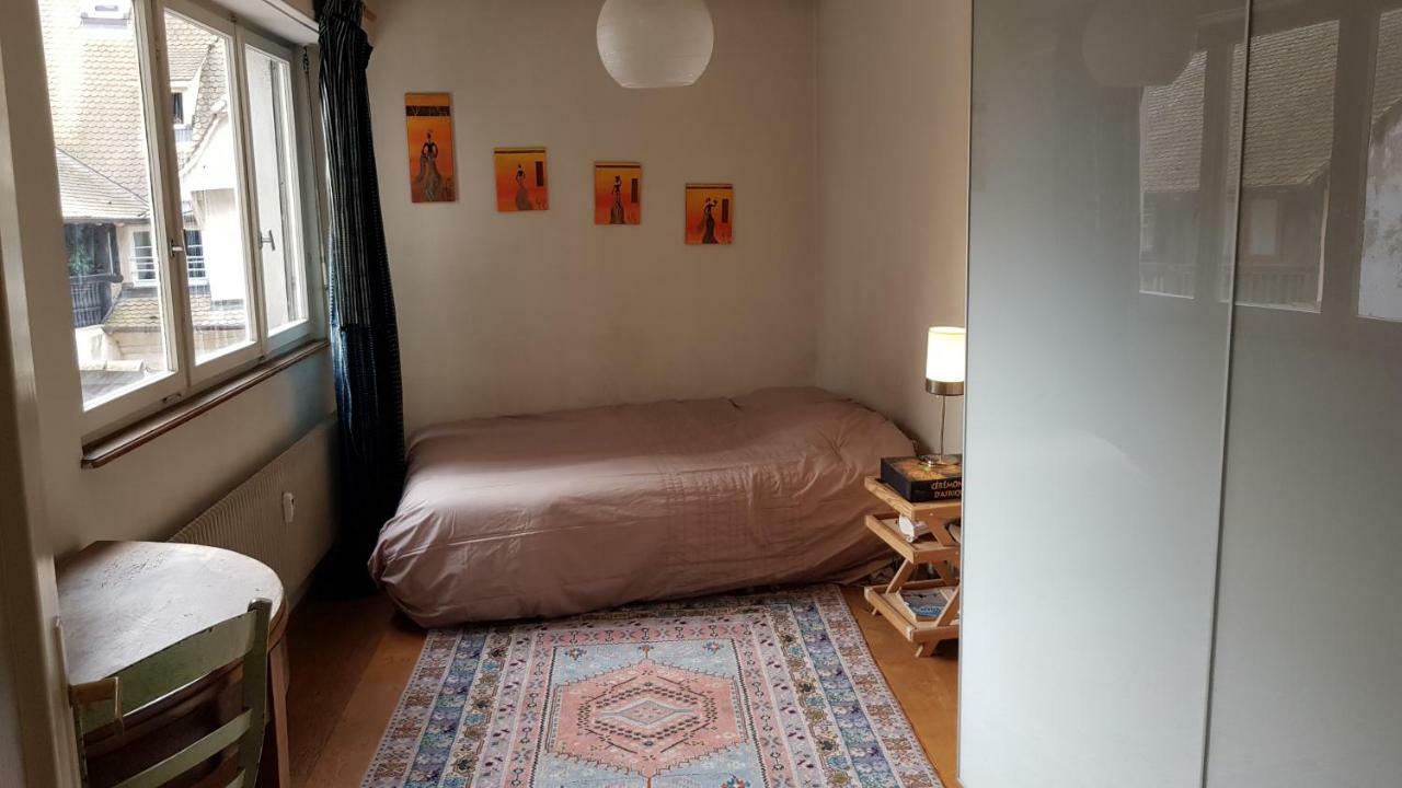 Apartamento La Puisatiere 80 M2 Estrasburgo Exterior foto